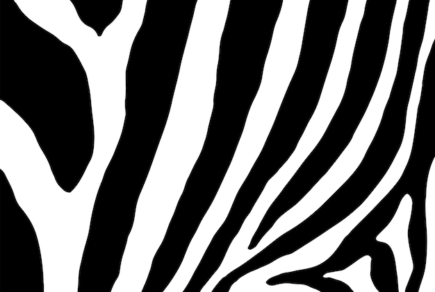 Padrão de textura de pele de zebra sem costura de fundo vetorial