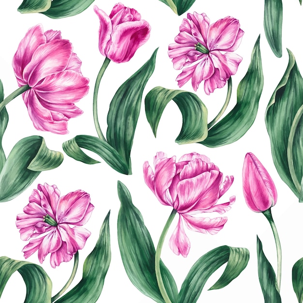 Vetor padrão de tulipa rosa aquarela com fundo branco