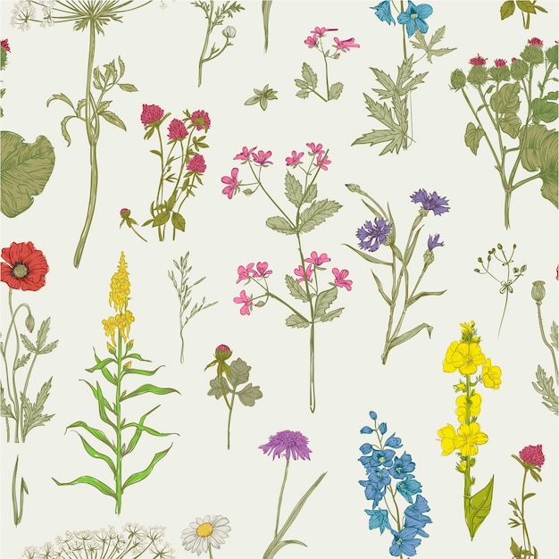 padrão floral sem emenda. ilustração vetorial