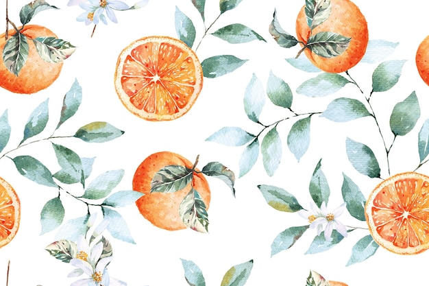 Padrão laranja, tangerinas com aquarela com aquarela para tecido e papel de parede. fundo de frutas.