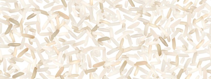 Vetor padrão perfeito de arroz seco basmati ou jasmim