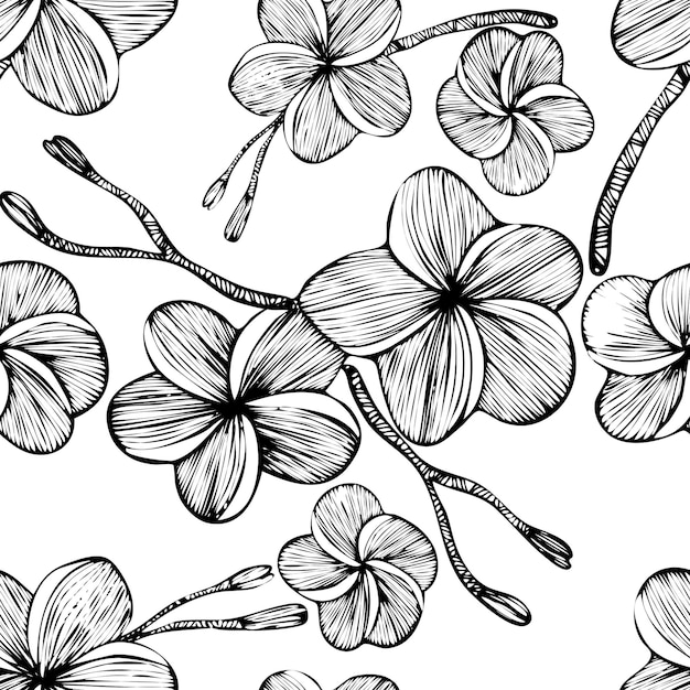 Padrão perfeito de flores de frangipani para embrulhar fundo de papel e tecido ilustração vetorial