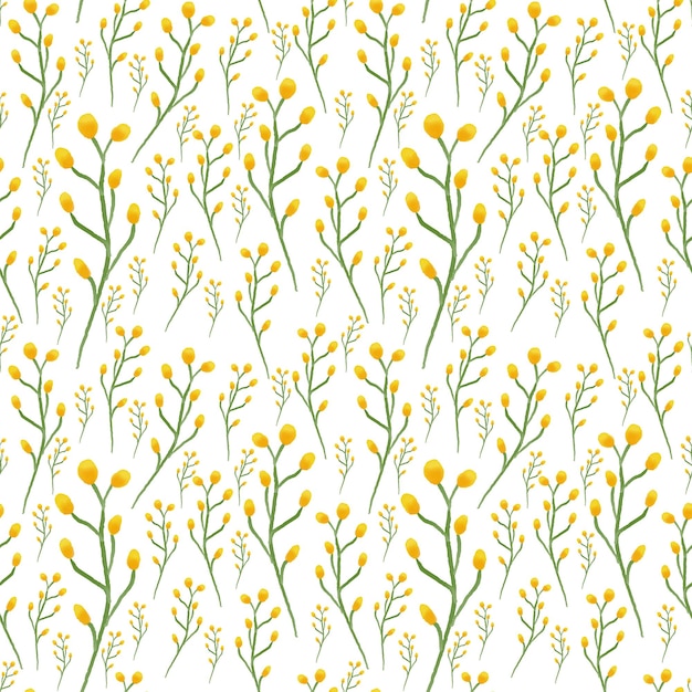 Padrão sem costura desenhado à mão em aquarela com flores tenras de primavera mimosa amarela sobre fundo branco