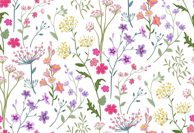 Padrão sem costuras vetorial com prado em flor fundo interminável brilhante com flores silvestres coloridas esquecimentos margaridas de camomila