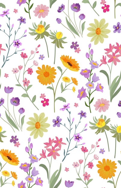 Padrão sem costuras vetorial com prado em flor fundo interminável brilhante com flores silvestres coloridas esquecimentos margaridas de camomila
