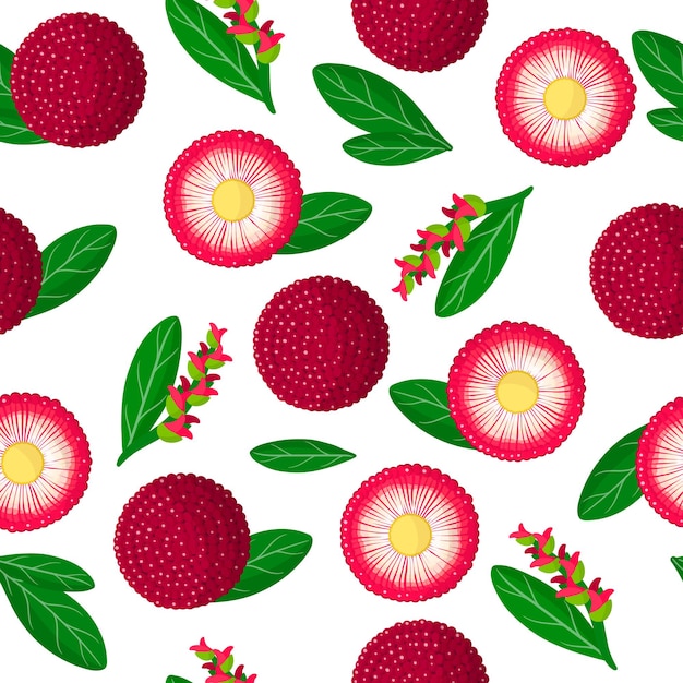 Padrão sem emenda de desenho vetorial com folhas, flores e frutas exóticas de myrica rubra ou yangmei