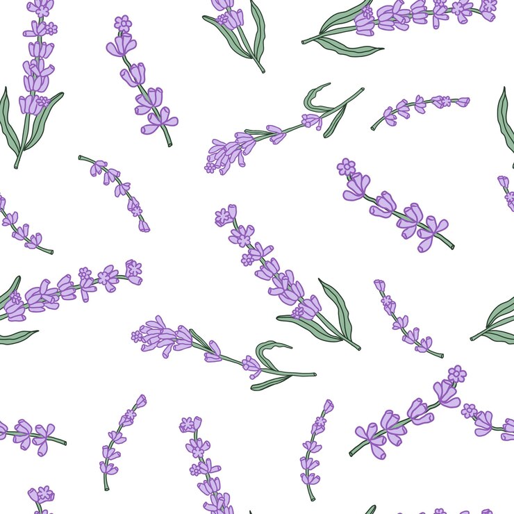 Vetor padrão sem emenda de flores coloridas de lavanda para têxteis