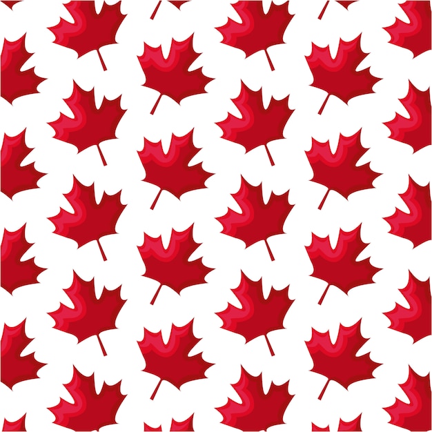 Padrão sem emenda de folhas maple canadá