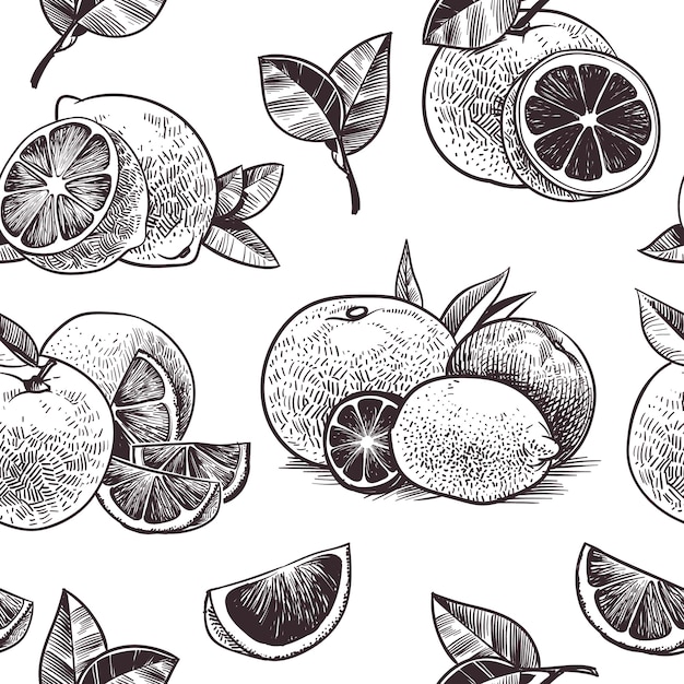 Padrão sem emenda de frutas laranja. frutas cítricas vintage, laranjas de mão desenhada com desenho de flores e folhas, papel de parede desenho botânico limão e toranja planta vector