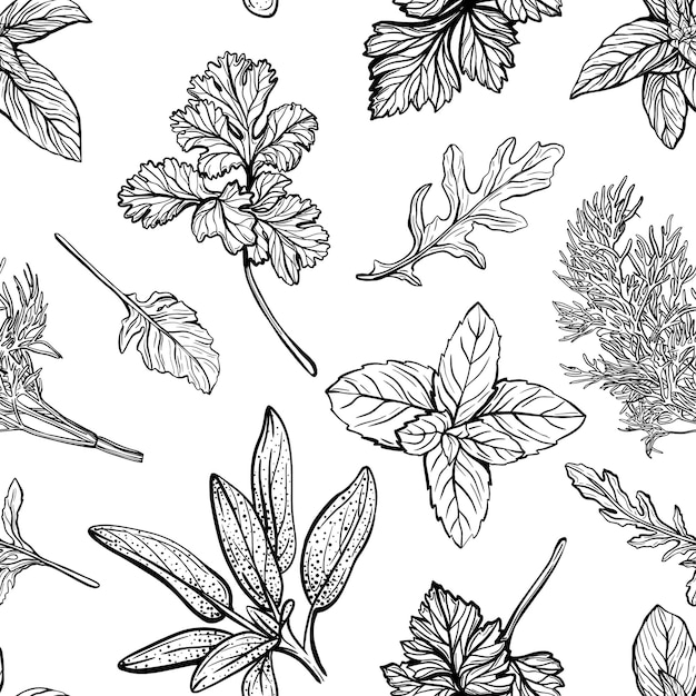 Padrão sem emenda de grama selvagem. Ervas de campo e plantas medicinais de jardim, temperos úteis. Ilustração em vetor desenhado à mão.