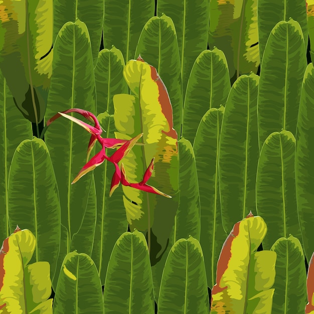 Padrão sem emenda tropical com fundo de flores vermelho heliconia