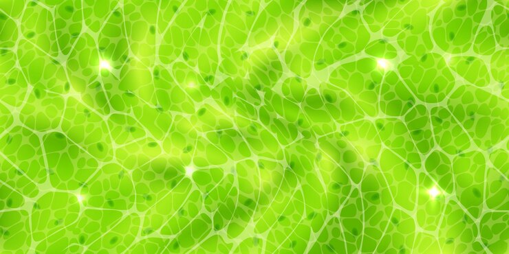 Vetor padrão verde abstrato ou células vegetais com textura nuclear sob um microscópio