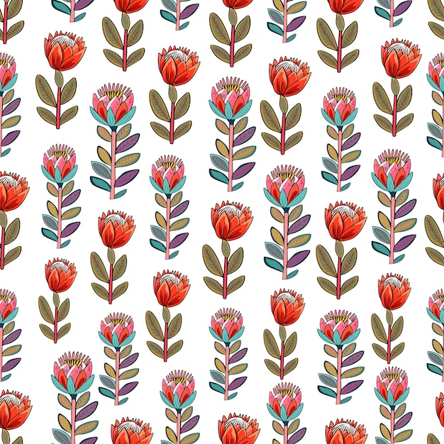 Padrão vetorial de flores de protea protea flores ilustração sem costura em estilo boho adesivo em fundo branco padrão em branco para o designer