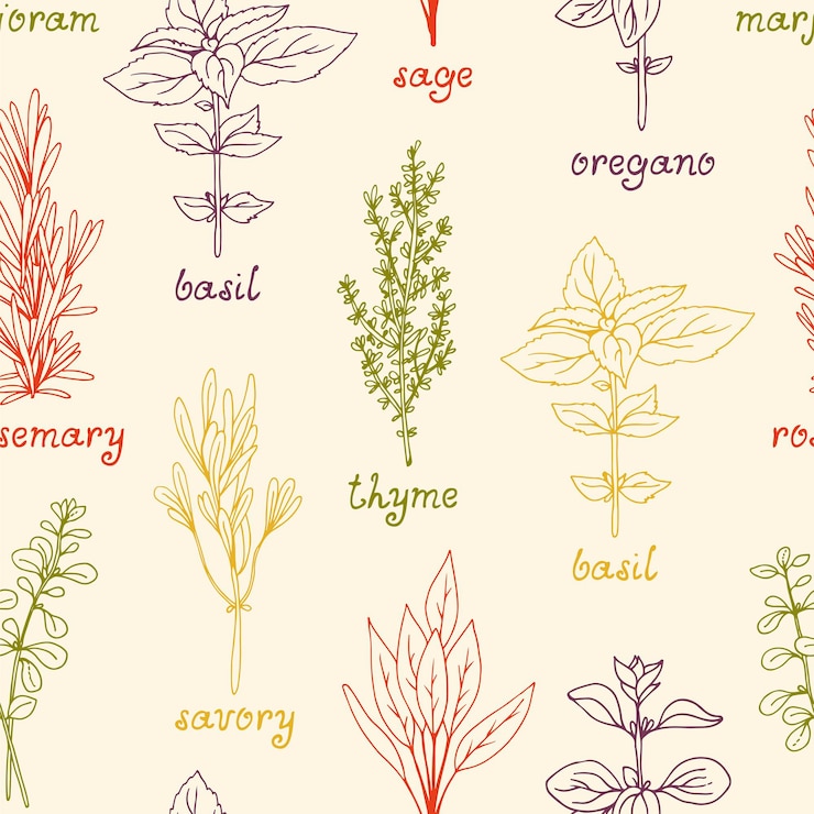 Vetor padrão vetorial perfeito com fundo de ervas medicinais de ervas culinárias