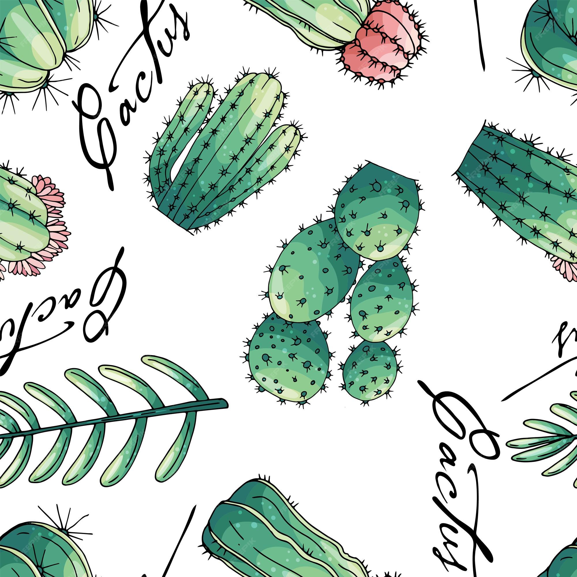 Autocolante Pixerstick Vector sem costura desenhado a mão com padrão de  cactos e suculentos. Cactus i…