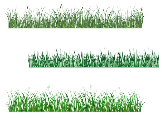 Padrões de grama verde