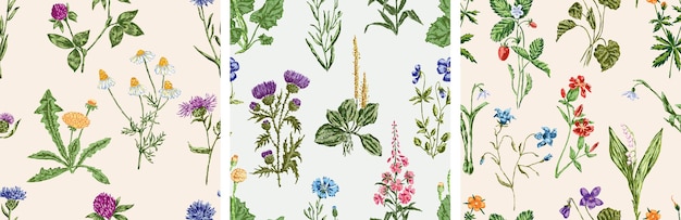 Padrões florais sem costura de diferentes flores silvestres desenhadas à mão papel tecido vetor