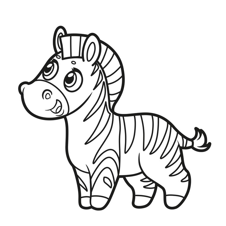 Vetor página de colorir de desenho animado de uma pequena zebra em um fundo branco