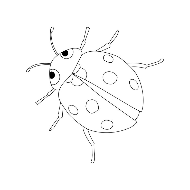 Página de colorir Mariposa