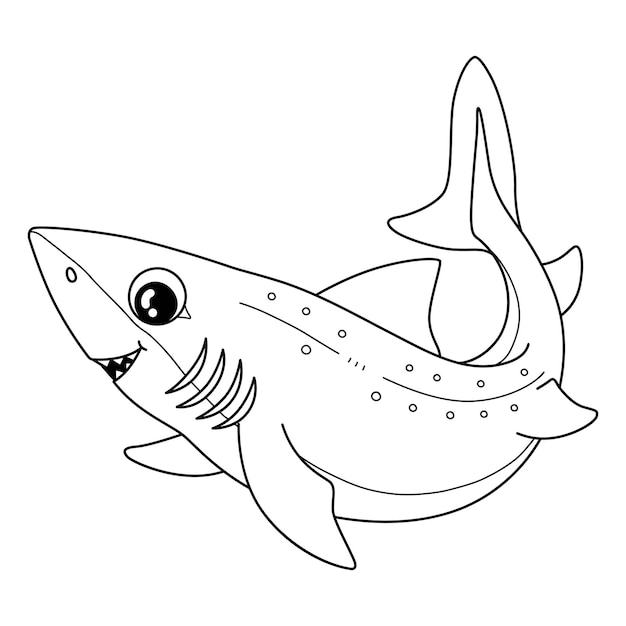 desenho para colorir tubarão