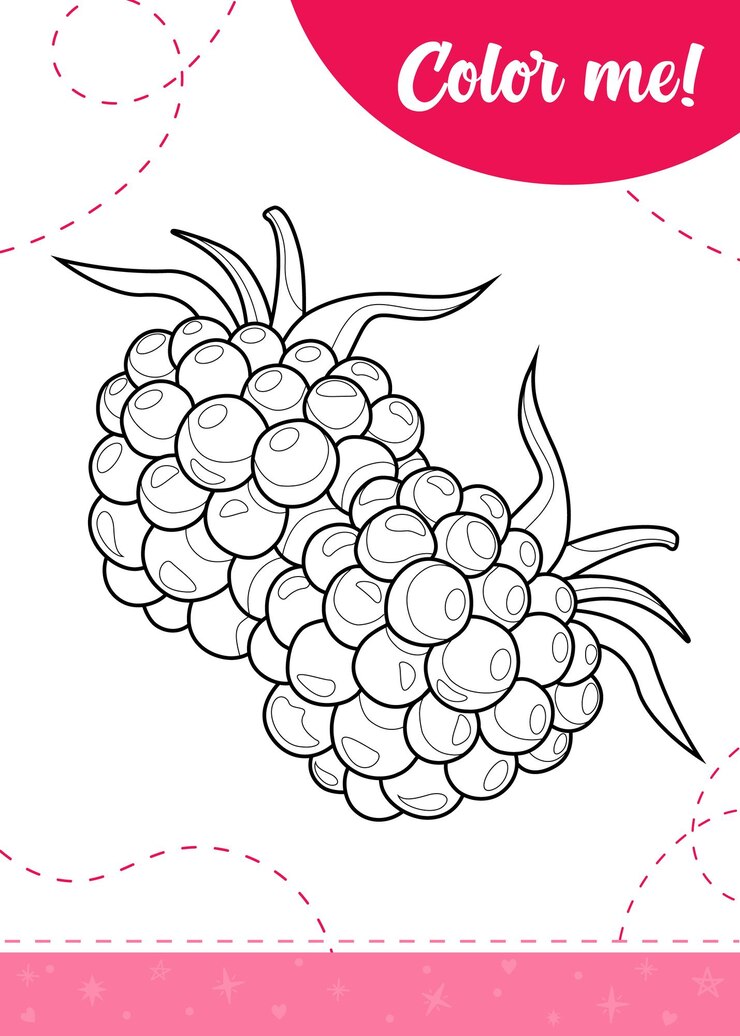 Vetor página de colorir para crianças com deliciosas framboesas de verão