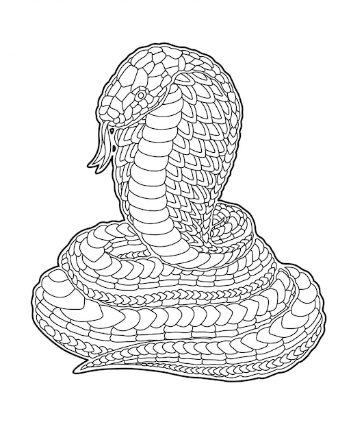 Desenho Para Colorir cobra - Imagens Grátis Para Imprimir - img 27866