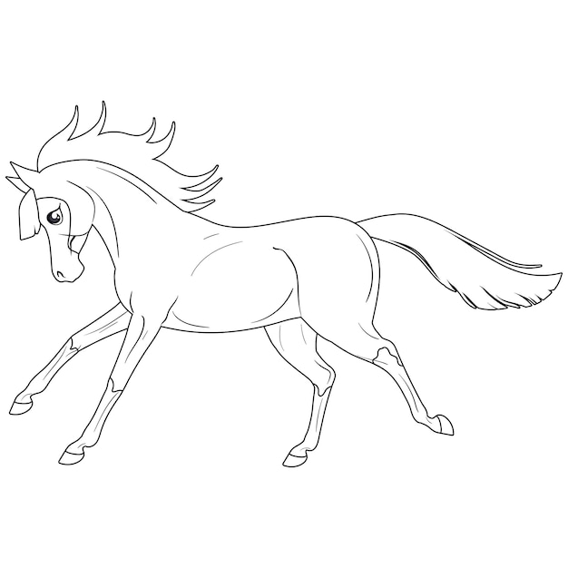 Desenho de Cavalos para Colorir - Colorir.com