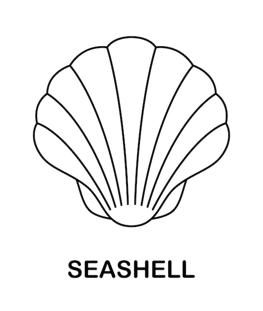 Página para colorir com seashell para crianças