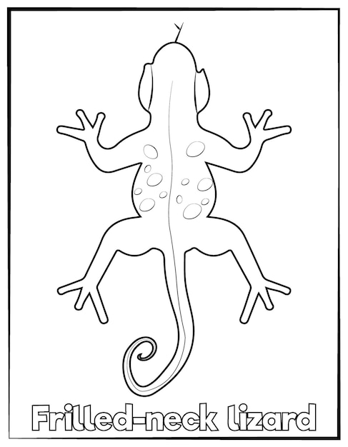 Páginas para colorir de lagarto de óculos - páginas para colorir