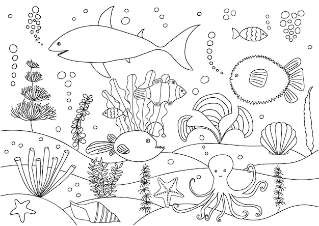 Página para colorir de animais da vida marinha Diferentes vetores de peixe para colorir para crianças e adultos Tamboril peixe-palhaço estrela do mar concha polvo tubarão bola peixe recife peixe algas algas marinhas