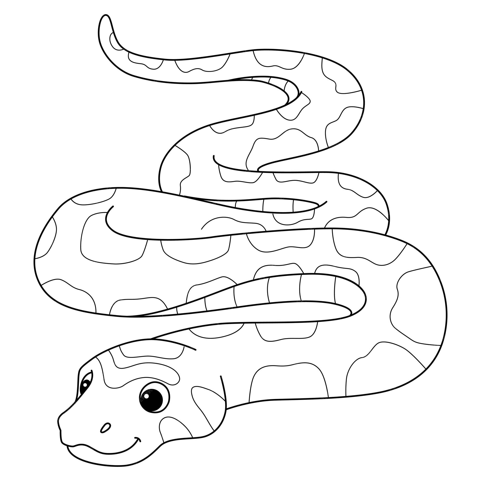 Desenho de cobra para colorir animal. Réptil cobra - Desenhos Para