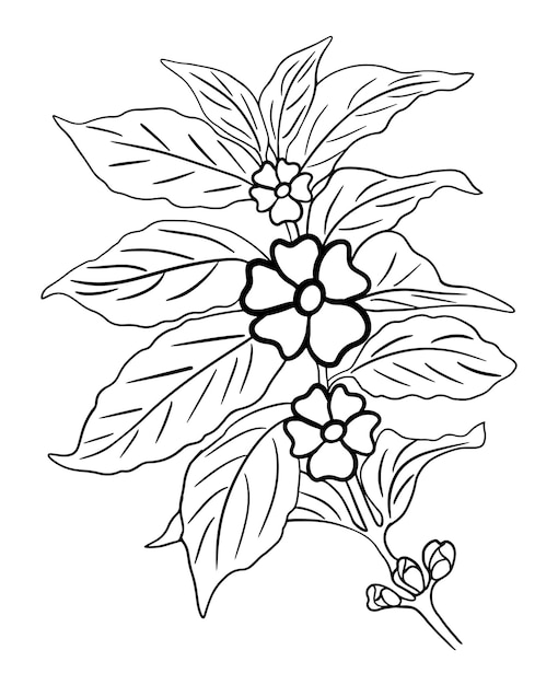 Página para colorir de flores para crianças linha arte vector design imprimível em branco para as crianças preencherem