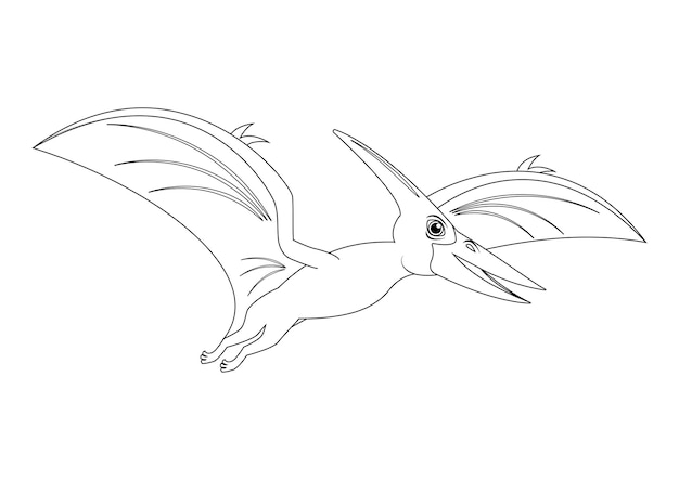 Desenho Para Colorir dinossauro - pteranodonte - Imagens Grátis Para  Imprimir - img 27737