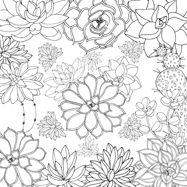 Vetor página para colorir doodle floral zentangle para adultos. livro de colorir antiestresse tropical com cactos