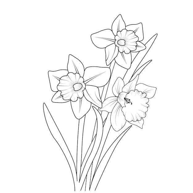 Vetor página para colorir flor de narciso e livro ilustração desenhada à mão flor de narciso flores arte de tinta.