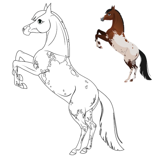 Desenhos para colorir de desenho de um cavalo selvagem para colorir online  