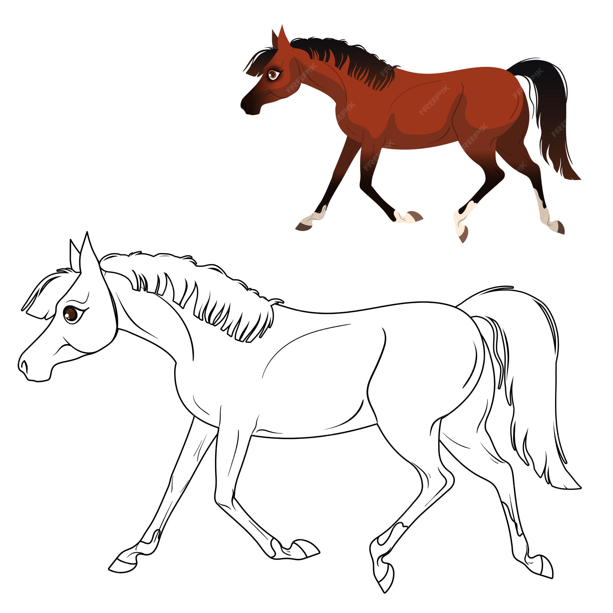 Mais de 100 desenhos de cavalos para colorir!  Cavalo desenho, Colorir,  Ilustração de cavalo