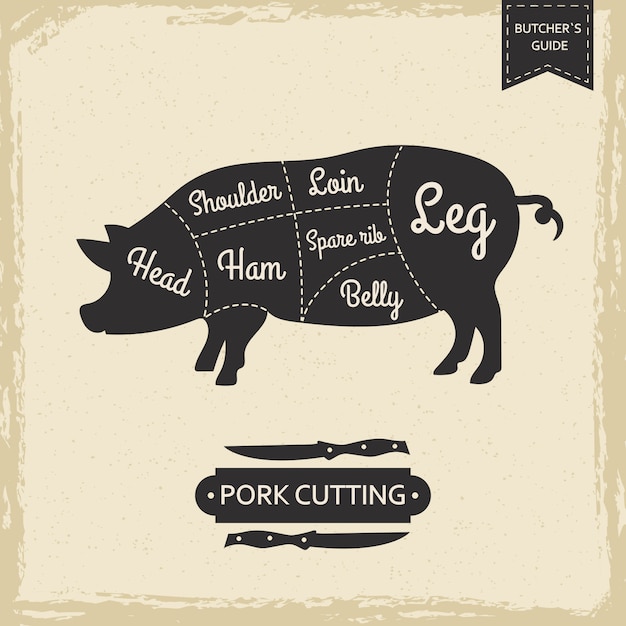 Vetor página vintage de açougueiros biblioteca - design de cartaz de corte de porco