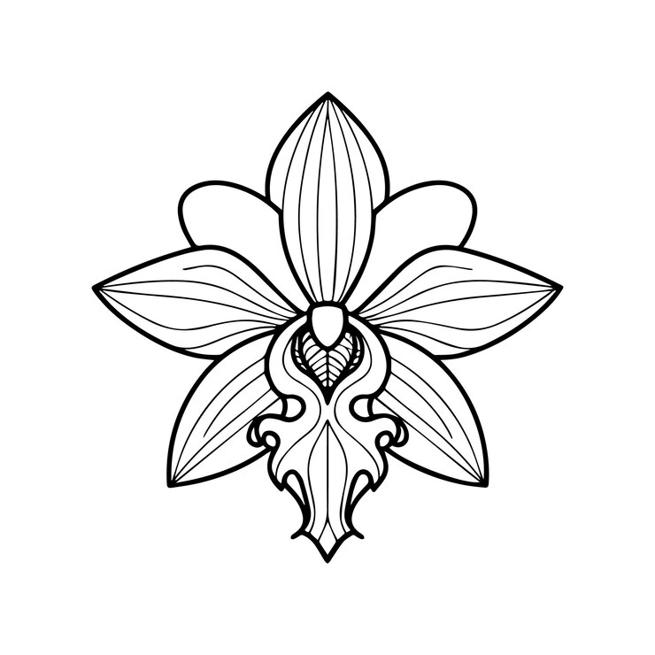 Vetor páginas de colorir de flores de orquídeas vector de contorno de flores de orquídeas