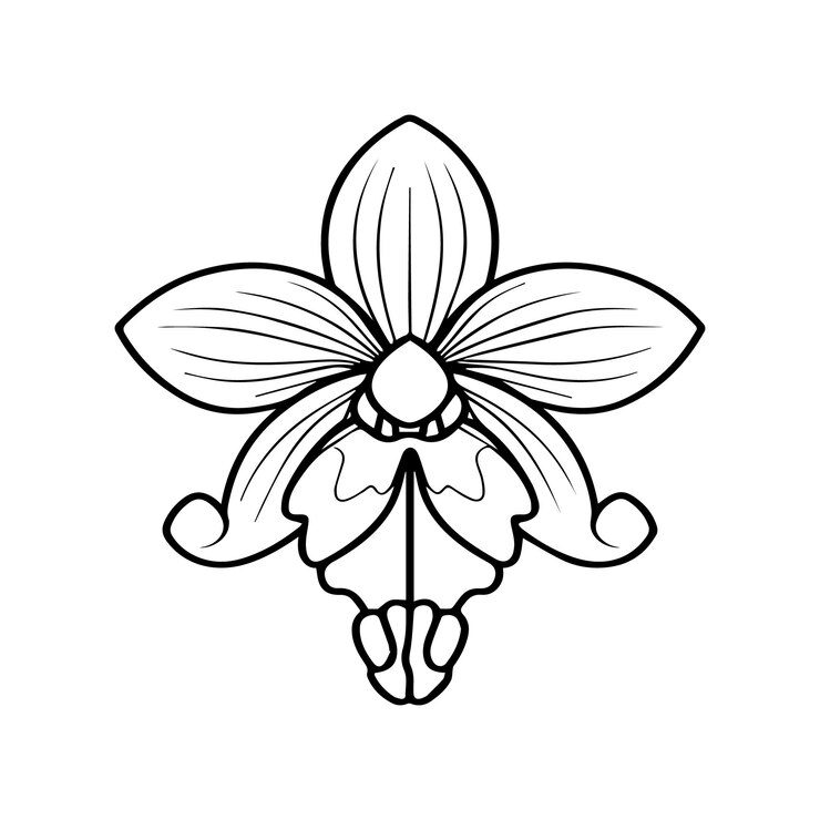 Vetor páginas de colorir de flores de orquídeas vector de contorno de flores de orquídeas