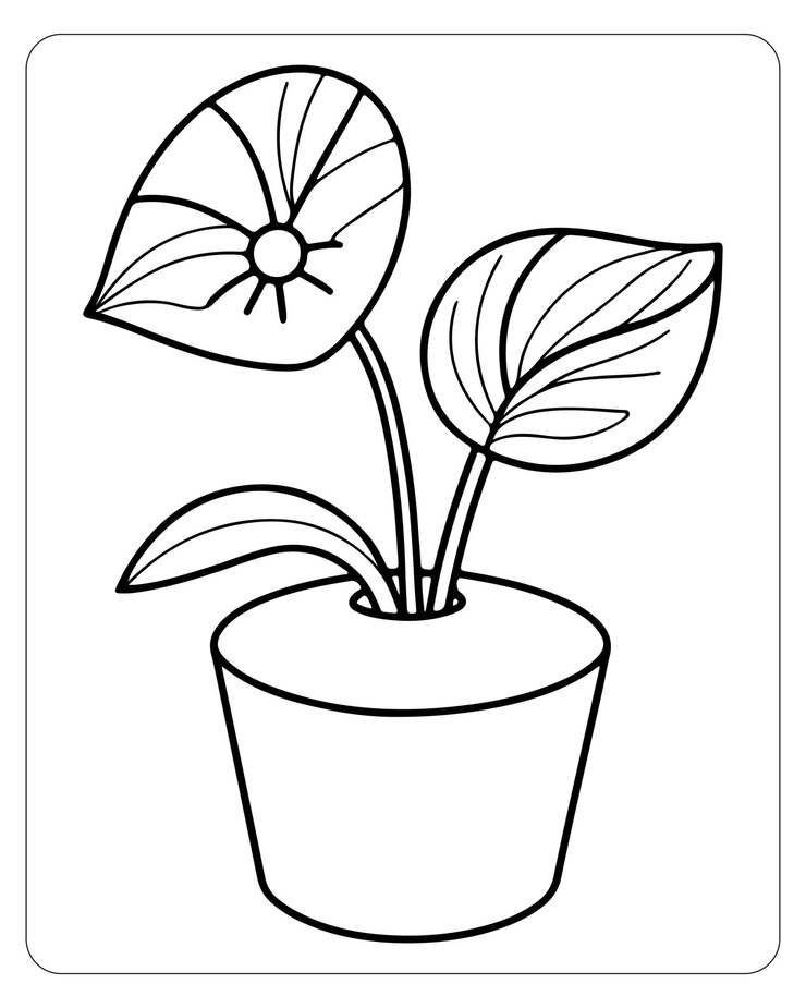 Vetor páginas de colorir flores bonitas para crianças