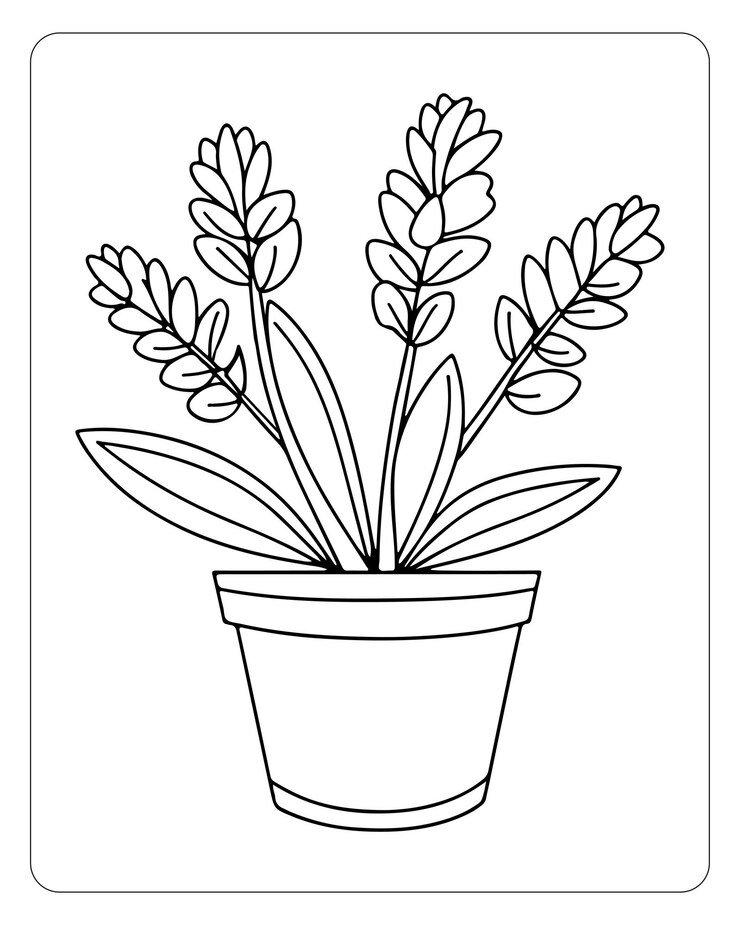 Vetor páginas de colorir flores para crianças ilustração de flores
