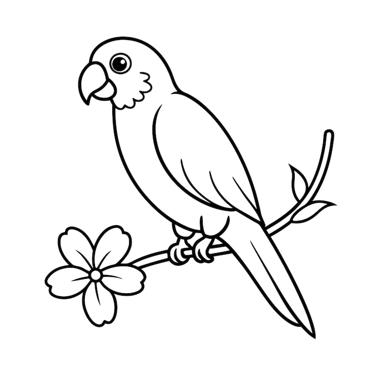 Vetor páginas para colorir de papagaios e flores