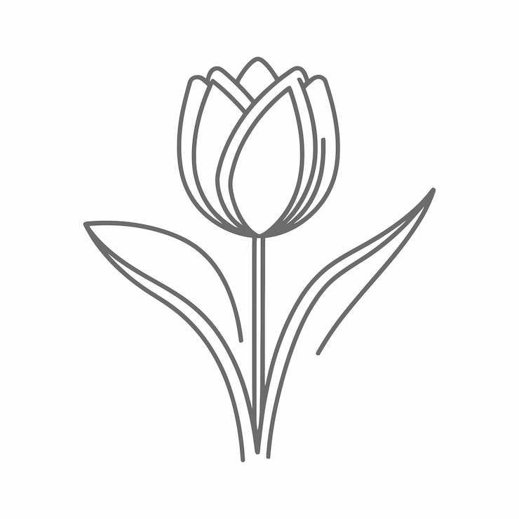 Vetor páginas para colorir e ilustração de tulipas