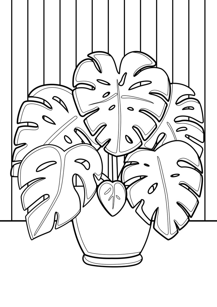 Vetor páginas para colorir para ambientes internos monstera home plants a4 para crianças e adultos