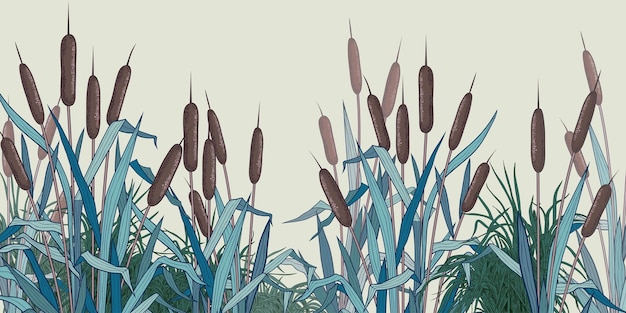 Painel de fundo vetorial de junco e ervas paisagem com rio ou lago com plantas ilustração vetorial