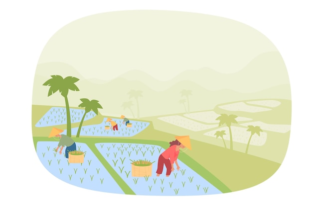 Paisagem com agricultores asiáticos trabalhando em arrozais
