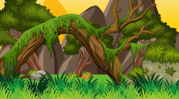 paisagem com bosques no parque
