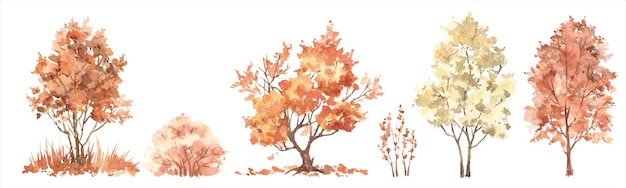 Paisagem da natureza da árvore do outono da aquarela
