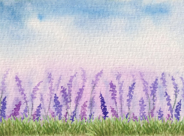 Vetor paisagem de campo de lavanda pintada à mão em aquarela roxa